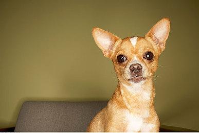 《旷野之息》主创参与开发《无限暖暖》 担任执行制作人